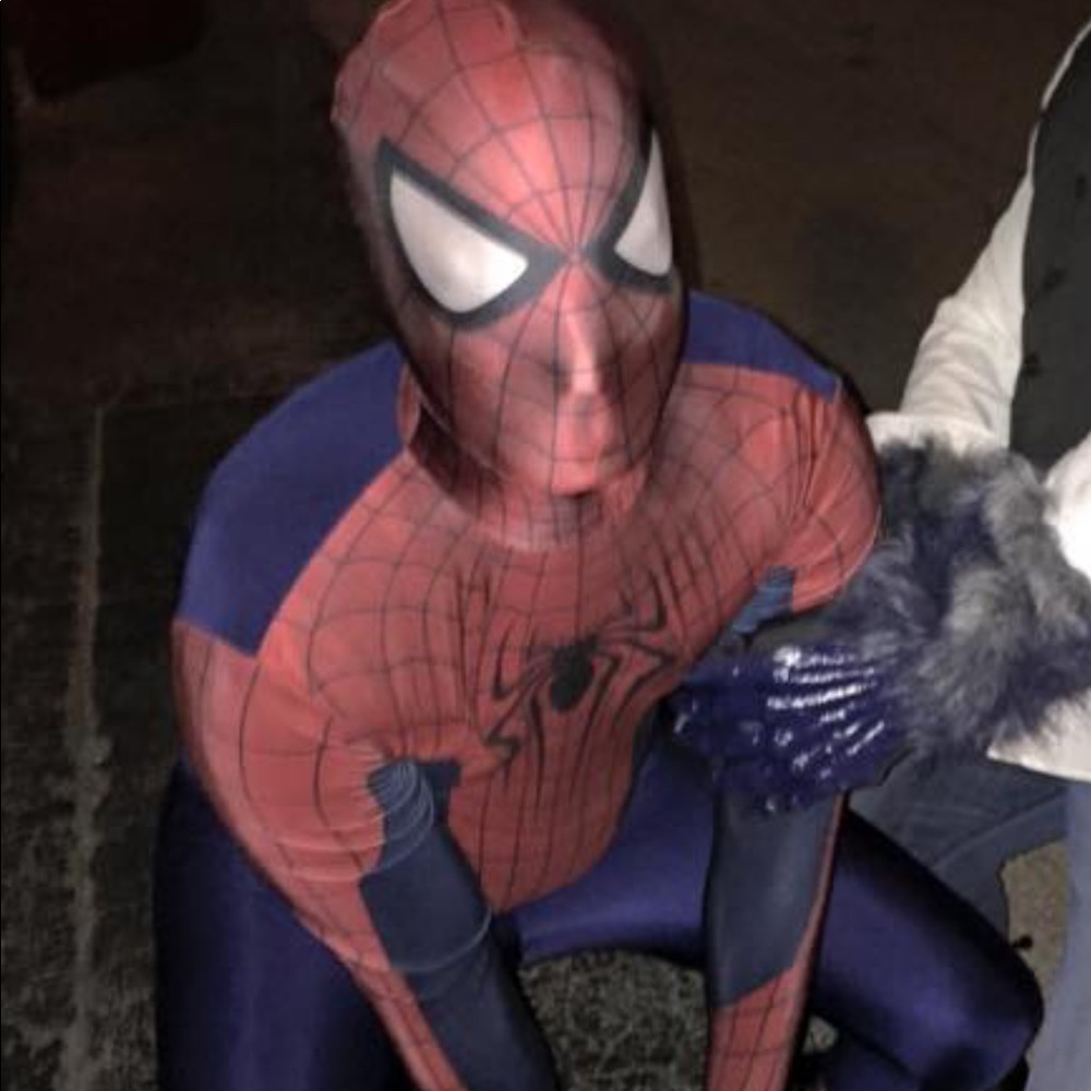 Spiderman mens costume